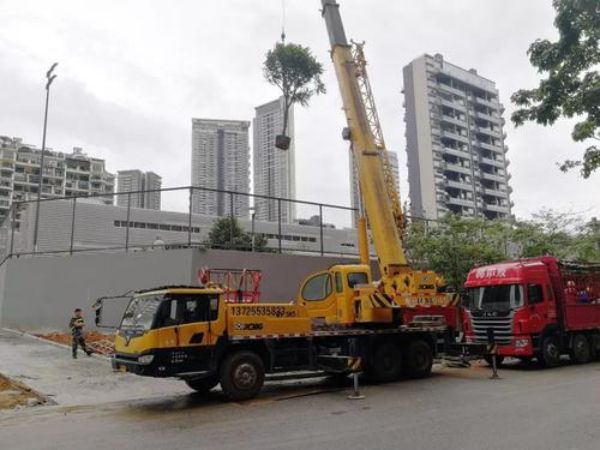 建瓯市吊车出租公司电话_吊车出租的维护保养的用处